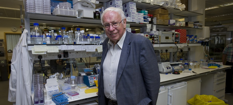 Illustration for article titled DNA Repair Earned the Nobel Prize in Chemistry, and Here's Why